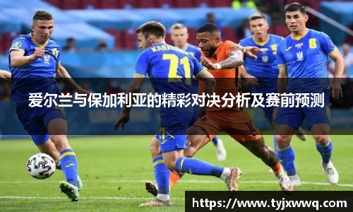 低调看直播